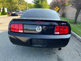 Used 2008 Ford Mustang Deluxe image 5