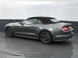 Used 2022 Ford Mustang Premium image 3