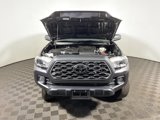 Used 2022 Toyota Tacoma TRD Off-Road image 4