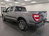 Used 2022 Ford F150 XL w/ STX Appearance Package image 6