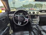 Used 2015 Ford Mustang Premium w/ 50 Years Appearance Package image 3