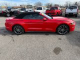 Used 2019 Ford Mustang Premium w/ Equipment Group 201A image 4