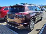 Used 2018 Toyota RAV4 Limited w/ All Weather Liner Package image 2