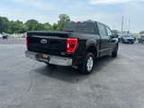 Used 2023 Ford F150 XLT image 4