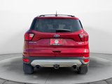 Used 2019 Ford Escape Titanium image 4