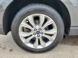 Used 2019 Ford Edge Titanium w/ Cold Weather Package image 5