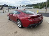 Used 2024 Ford Mustang GT Premium image 5