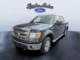 Used 2013 Ford F150 XLT w/ Luxury Equipment Group image 2