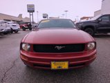 Used 2008 Ford Mustang Coupe image 2