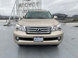 Used 2011 Lexus GX 460 Premium image 3