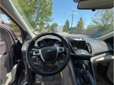 Used 2014 Ford Escape SE w/ SE Chrome Package image 6