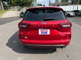 Used 2024 Ford Escape ST-Line image 5