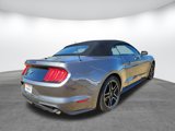 Used 2022 Ford Mustang Premium image 5