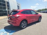 Certified 2023 Ford Escape ST-Line image 3
