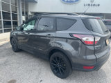 Used 2018 Ford Escape SE w/ SE Sport Appearance Package image 3