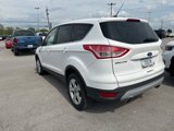 Used 2013 Ford Escape SE image 4