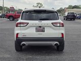 Used 2022 Ford Escape SEL w/ Technology Package image 6