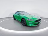 Certified 2019 Ford Mustang Premium w/ Ford Safe & Smart Package image 2