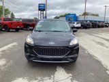 Used 2020 Ford Escape SE image 2