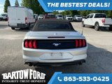 Used 2019 Ford Mustang Premium image 6