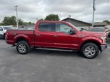 Used 2019 Ford F150 XLT w/ Equipment Group 302A Luxury image 2