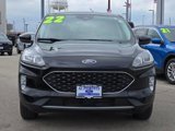 Certified 2022 Ford Escape SEL image 4