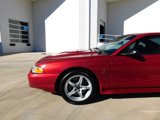 Used 1998 Ford Mustang Cobra image 5