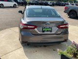 Used 2020 Toyota Camry XLE image 4