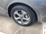 Used 2024 Ford Escape ST-Line image 3
