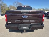 Used 2019 Ford F150 XL w/ Equipment Group 101A Mid image 4