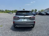 Used 2022 Ford Escape SE w/ Convenience Package image 4