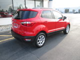 Used 2019 Ford EcoSport SE w/ SE Convenience Package image 3