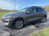 Used 2021 Ford Escape SEL image 3