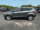 Used 2014 Ford Escape SE image 2