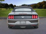 Used 2019 Ford Mustang Convertible image 5
