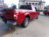 Used 2019 Ford F150 XLT w/ Equipment Group 302A Luxury image 5