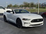 Used 2022 Ford Mustang Premium image 3
