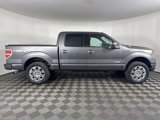 Used 2013 Ford F150 Platinum image 2