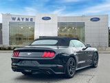 Used 2023 Ford Mustang Premium image 5