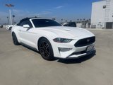 Used 2021 Ford Mustang Premium image 3