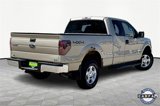 Used 2010 Ford F150 XLT image 5