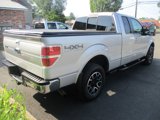 Used 2013 Ford F150 Lariat w/ Luxury Equipment Group image 6