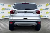 Used 2019 Ford Escape SEL image 5