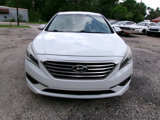 Used 2016 Hyundai Sonata SE image 4