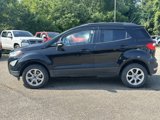 Used 2020 Ford EcoSport SE w/ SE Convenience Package image 4