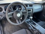 Used 2011 Ford Mustang Coupe w/ 101A Rapid Spec Order Code image 5