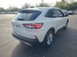 Used 2021 Ford Escape SE w/ Convenience Package image 3