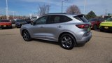 Used 2024 Ford Escape ST-Line image 6
