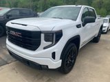 New 2025 GMC Sierra 1500 Elevation image 2