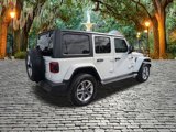 Used 2019 Jeep Wrangler Unlimited Sahara w/ Cold Weather Group image 3